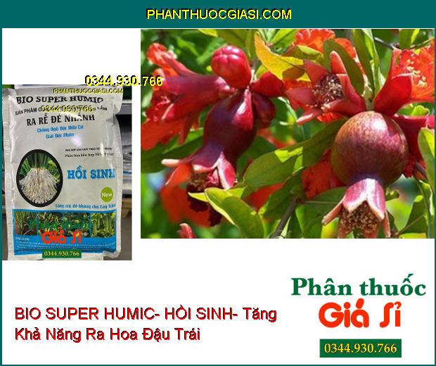 PHÂN BÓN NPK BIO SUPER HUMIC- HỒI SINH