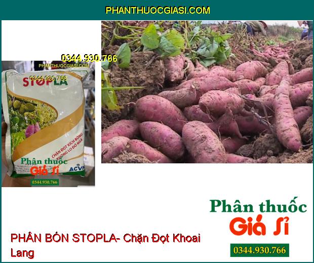 PHÂN BÓN STOPLA- Xử Lý Ra Hoa Trái Vụ- Chặn Đọt Kích Bông- Chống Đổ Ngã