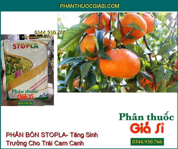 PHÂN BÓN STOPLA- Xử Lý Ra Hoa Trái Vụ- Chặn Đọt Kích Bông- Chống Đổ Ngã