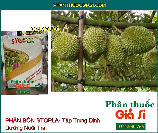 PHÂN BÓN STOPLA- Xử Lý Ra Hoa Trái Vụ- Chặn Đọt Kích Bông- Chống Đổ Ngã