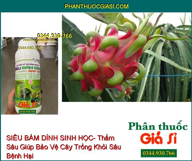 SIÊU BÁM DÍNH SINH HỌC- Tăng Hiệu Lực Phân Bón Và Thuốc BVTV- Loang Trải Mạnh- Chống Rửa Trôi