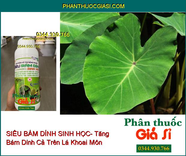 SIÊU BÁM DÍNH SINH HỌC- Tăng Hiệu Lực Phân Bón Và Thuốc BVTV- Loang Trải Mạnh- Chống Rửa Trôi