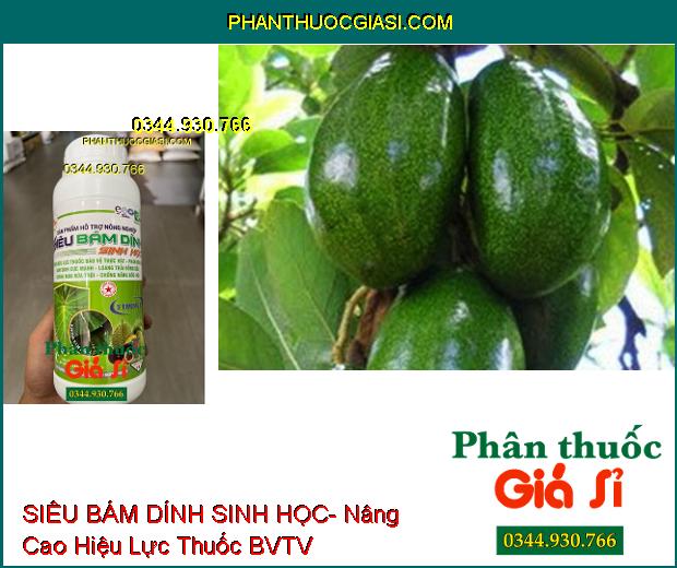 SIÊU BÁM DÍNH SINH HỌC- Tăng Hiệu Lực Phân Bón Và Thuốc BVTV- Loang Trải Mạnh- Chống Rửa Trôi