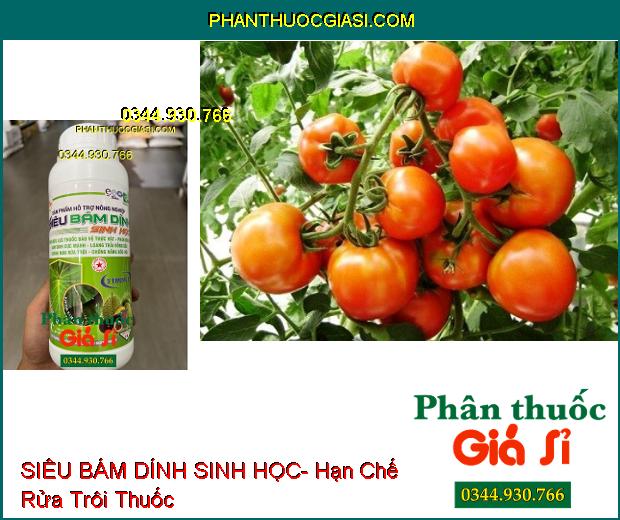 SIÊU BÁM DÍNH SINH HỌC- Tăng Hiệu Lực Phân Bón Và Thuốc BVTV- Loang Trải Mạnh- Chống Rửa Trôi