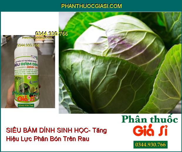 SIÊU BÁM DÍNH SINH HỌC- Tăng Hiệu Lực Phân Bón Và Thuốc BVTV- Loang Trải Mạnh- Chống Rửa Trôi