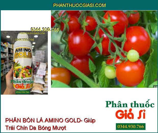 AMINO GOLD- Làm Lớn Trái Nhanh- Bóng Trái- Tăng Hương Vị