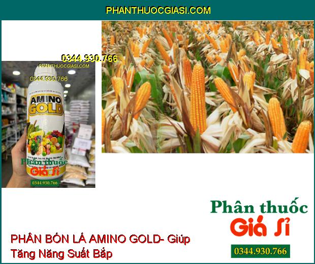 AMINO GOLD- Làm Lớn Trái Nhanh- Bóng Trái- Tăng Hương Vị