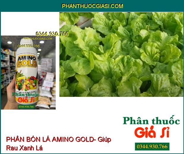 AMINO GOLD- Làm Lớn Trái Nhanh- Bóng Trái- Tăng Hương Vị