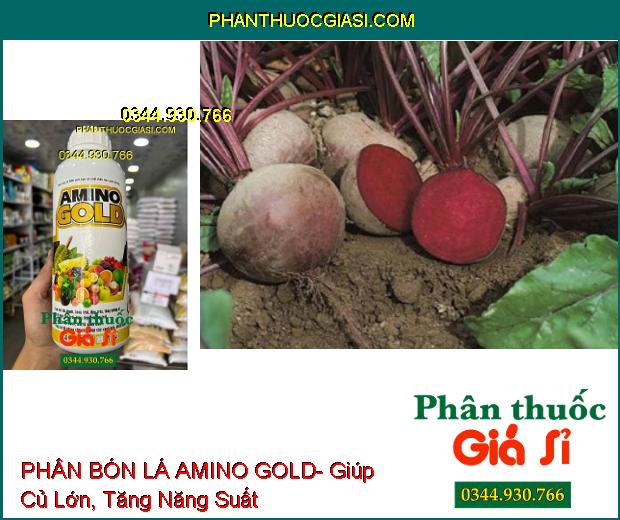 AMINO GOLD- Làm Lớn Trái Nhanh- Bóng Trái- Tăng Hương Vị