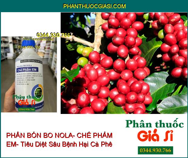 PHÂN BÓN BO NOLA- CHẾ PHẨM EM