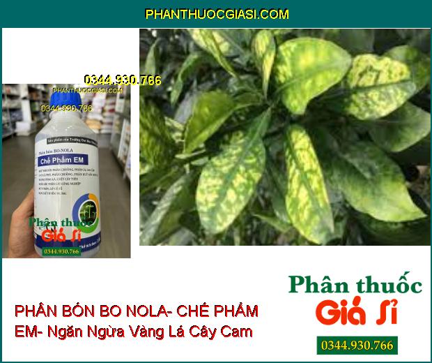 PHÂN BÓN BO NOLA- CHẾ PHẨM EM