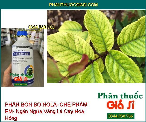 PHÂN BÓN BO NOLA- CHẾ PHẨM EM