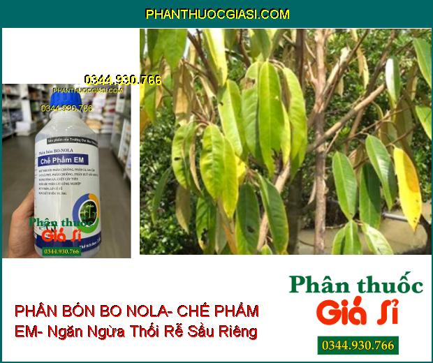 PHÂN BÓN BO NOLA- CHẾ PHẨM EM