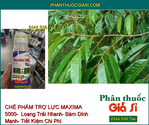 CHẾ PHẨM TRỢ LỰC MAXIMA 5000-  Loang Trải Nhanh- Bám Dính Mạnh- Tiết Kiệm Chi Phí