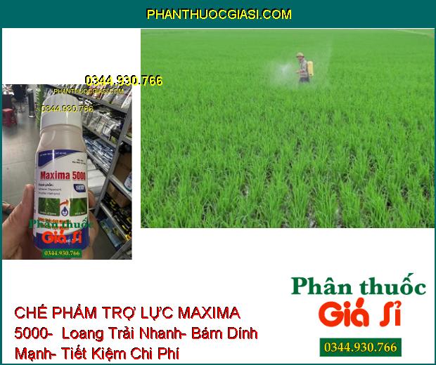 CHẾ PHẨM TRỢ LỰC MAXIMA 5000-  Loang Trải Nhanh- Bám Dính Mạnh- Tiết Kiệm Chi Phí