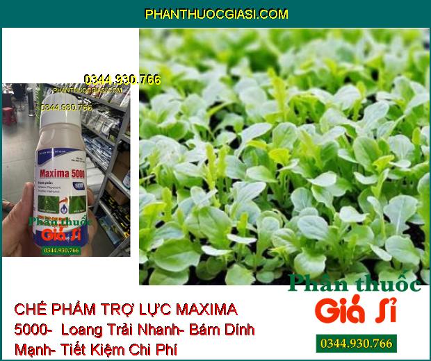 CHẾ PHẨM TRỢ LỰC MAXIMA 5000-  Loang Trải Nhanh- Bám Dính Mạnh- Tiết Kiệm Chi Phí