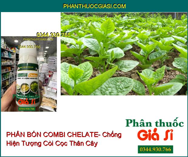  COMBI CHELATE- Chống Sốc Sinh Lý- Stress- Hạn Chế Rụng Bông Và Trái Non