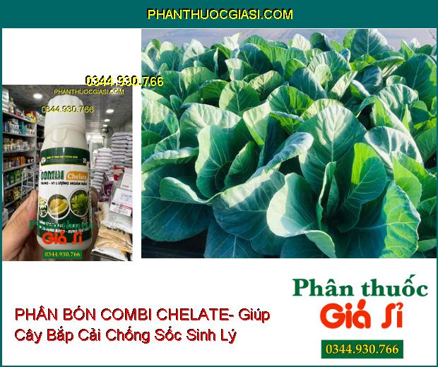 COMBI CHELATE- Chống Sốc Sinh Lý- Stress- Hạn Chế Rụng Bông Và Trái Non