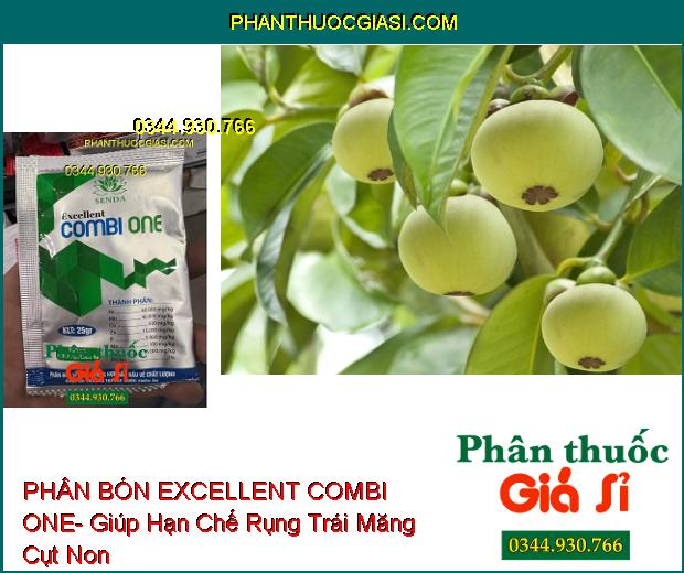 PHÂN BÓN VI LƯỢNG EXCELLENT COMBI ONE