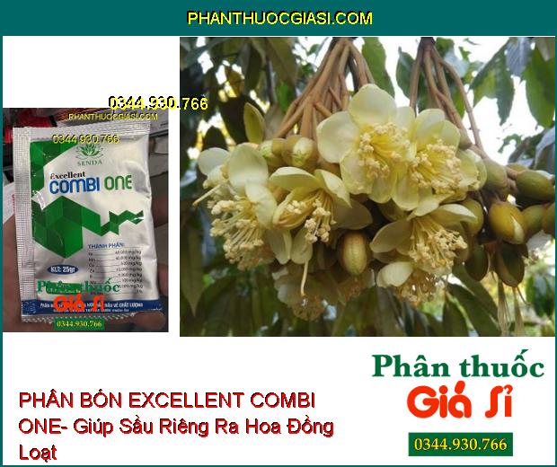 PHÂN BÓN VI LƯỢNG EXCELLENT COMBI ONE