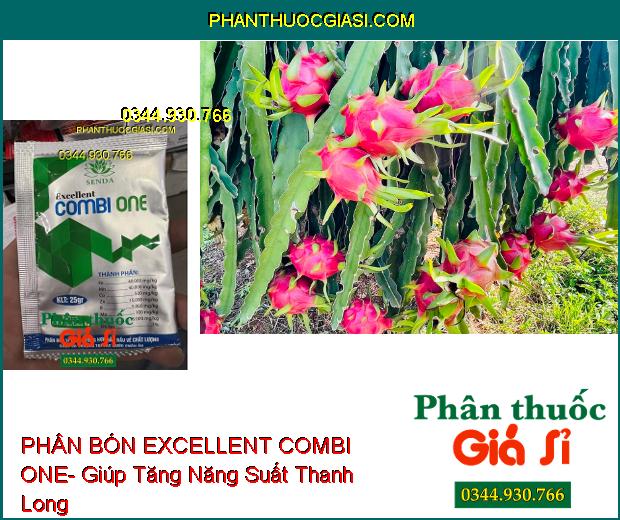 PHÂN BÓN VI LƯỢNG EXCELLENT COMBI ONE