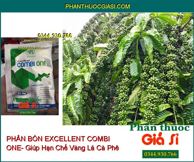 PHÂN BÓN VI LƯỢNG EXCELLENT COMBI ONE