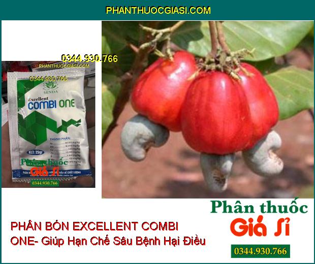 PHÂN BÓN VI LƯỢNG EXCELLENT COMBI ONE