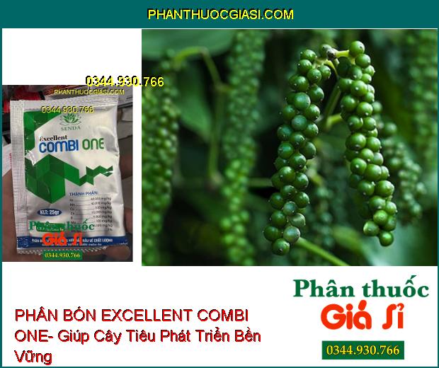 PHÂN BÓN VI LƯỢNG EXCELLENT COMBI ONE