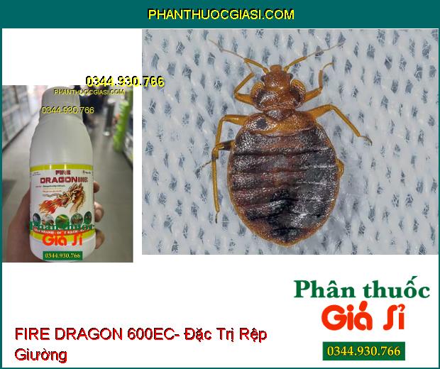 FIRE DRAGON 600EC- Đặc Trị Rệp- Ruồi- Muỗi- Kiến- Gián 