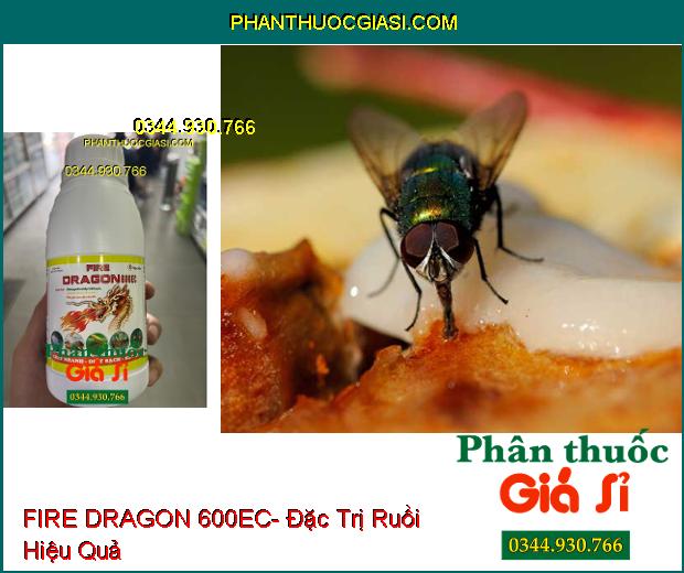 FIRE DRAGON 600EC- Đặc Trị Rệp- Ruồi- Muỗi- Kiến- Gián 