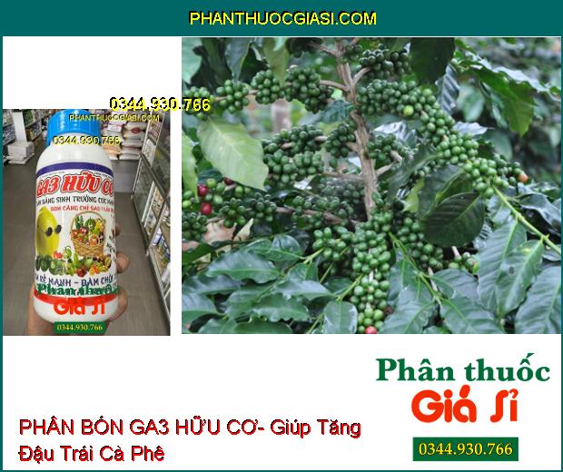 PHÂN BÓN GA3 HỮU CƠ