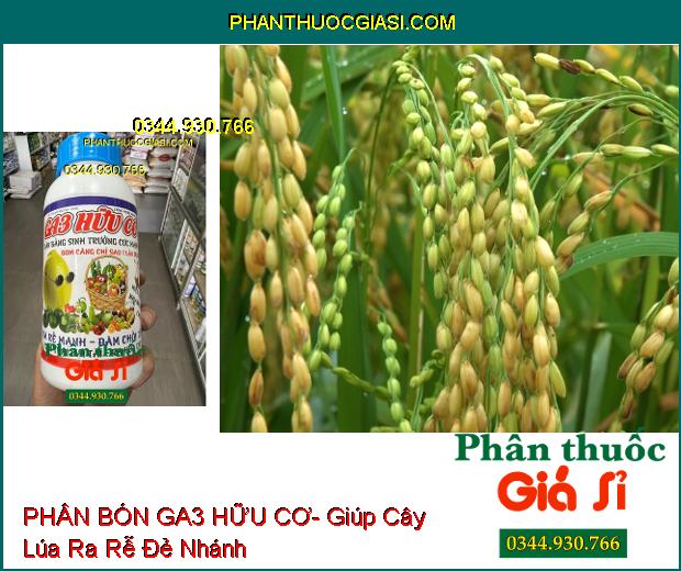 PHÂN BÓN GA3 HỮU CƠ