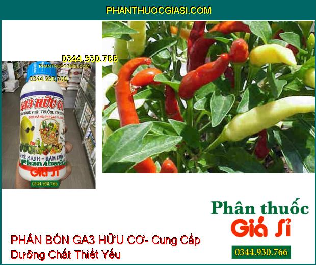 PHÂN BÓN GA3 HỮU CƠ