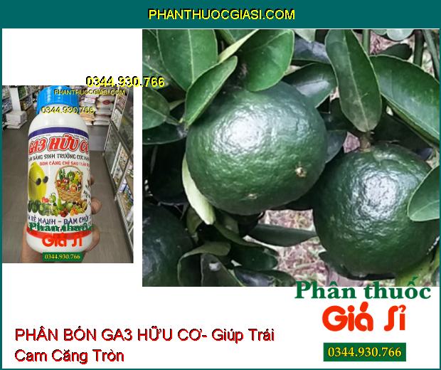 PHÂN BÓN GA3 HỮU CƠ