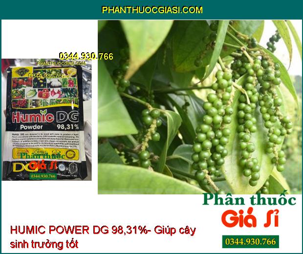 HUMIC POWER DG 98,31%