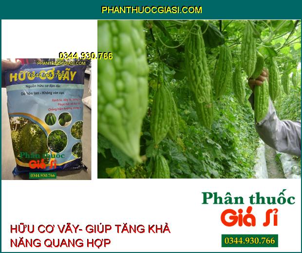 HỮU CƠ VÃY- Xanh Lá- Dày Lá- Phục Hồi Rễ Hư Tổn- Chống Vàng Lá