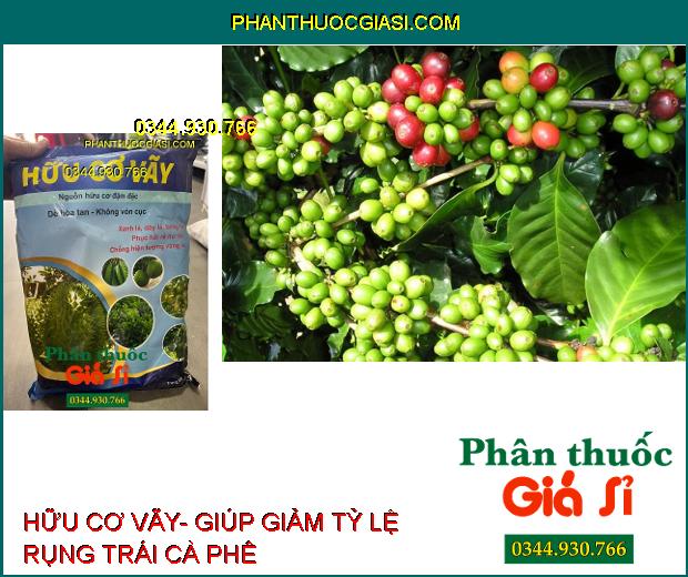 HỮU CƠ VÃY- Xanh Lá- Dày Lá- Phục Hồi Rễ Hư Tổn- Chống Vàng Lá