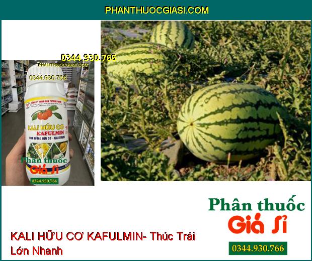 KALI HỮU CƠ KAFULMIN- Thúc Trái Lớn- Dày Cơm- Lên Màu Đẹp