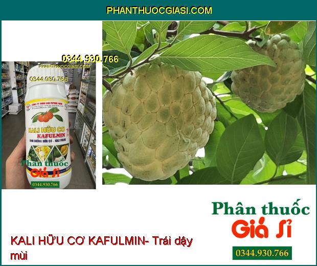 KALI HỮU CƠ KAFULMIN- Thúc Trái Lớn- Dày Cơm- Lên Màu Đẹp