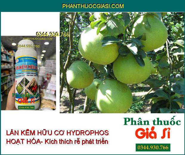 LÂN KẼM HỮU CƠ FUTURE FARM HYDROPHOS HOẠT HÓA- Lá Xanh Dày- Kháng Phèn Mặn