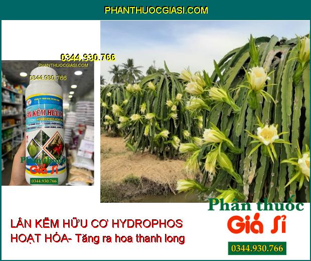 LÂN KẼM HỮU CƠ FUTURE FARM HYDROPHOS HOẠT HÓA- Lá Xanh Dày- Kháng Phèn Mặn