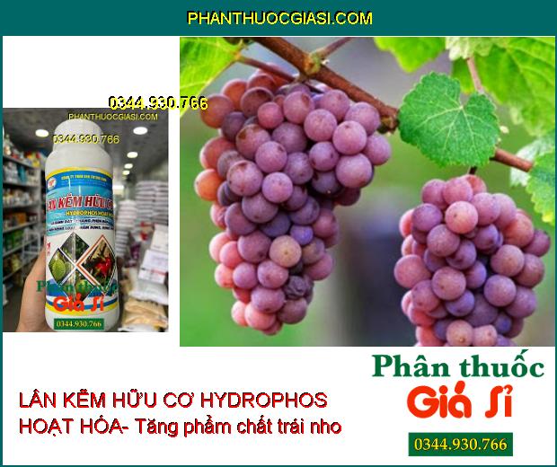 LÂN KẼM HỮU CƠ FUTURE FARM HYDROPHOS HOẠT HÓA- Lá Xanh Dày- Kháng Phèn Mặn