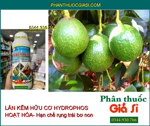 LÂN KẼM HỮU CƠ FUTURE FARM HYDROPHOS HOẠT HÓA- Lá Xanh Dày- Kháng Phèn Mặn