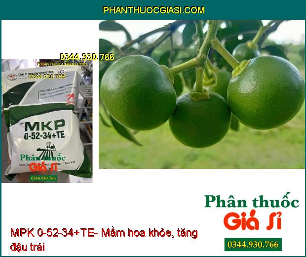 MPK 0-52-34+TE- Thúc Già Lá- Chuyển Hóa Mầm Hoa Nhanh- Thoát Miên Trạng Ngủ