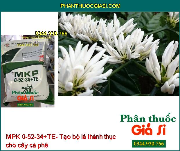 MPK 0-52-34+TE- Thúc Già Lá- Chuyển Hóa Mầm Hoa Nhanh- Thoát Miên Trạng Ngủ