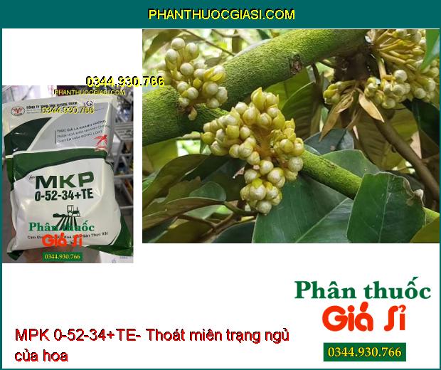 MPK 0-52-34+TE- Thúc Già Lá- Chuyển Hóa Mầm Hoa Nhanh- Thoát Miên Trạng Ngủ