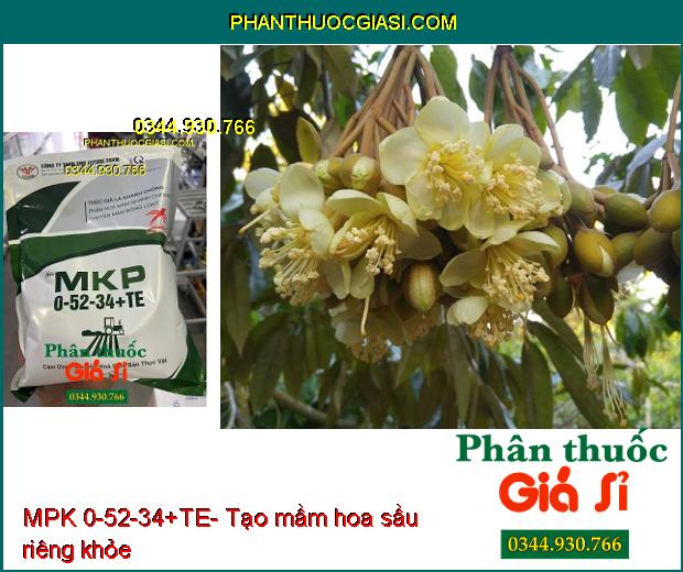 MPK 0-52-34+TE- Thúc Già Lá- Chuyển Hóa Mầm Hoa Nhanh- Thoát Miên Trạng Ngủ