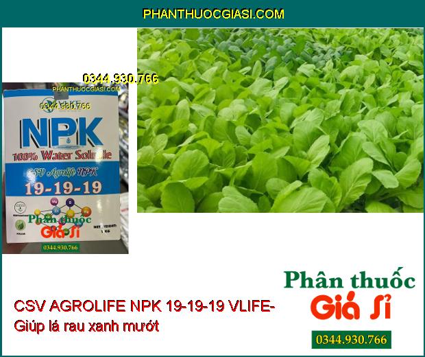 CSV AGROLIFE NPK 19-19-19 VLIFE- Dưỡng Hoa- Trái Lớn Đều- Chống Méo Trái