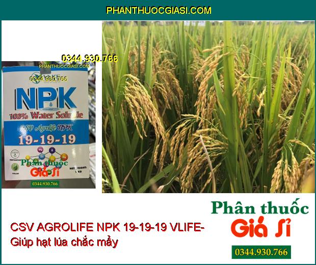 CSV AGROLIFE NPK 19-19-19 VLIFE- Dưỡng Hoa- Trái Lớn Đều- Chống Méo Trái