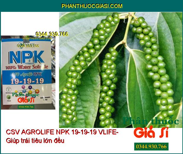 CSV AGROLIFE NPK 19-19-19 VLIFE- Dưỡng Hoa- Trái Lớn Đều- Chống Méo Trái